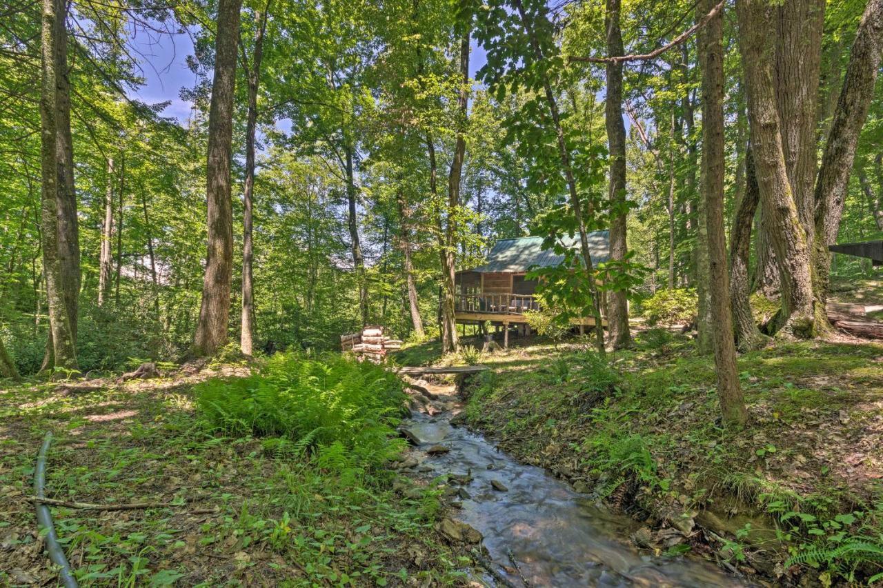 Creekside Cabin With Deck In Pisgah Forest! Barnardsville Bagian luar foto