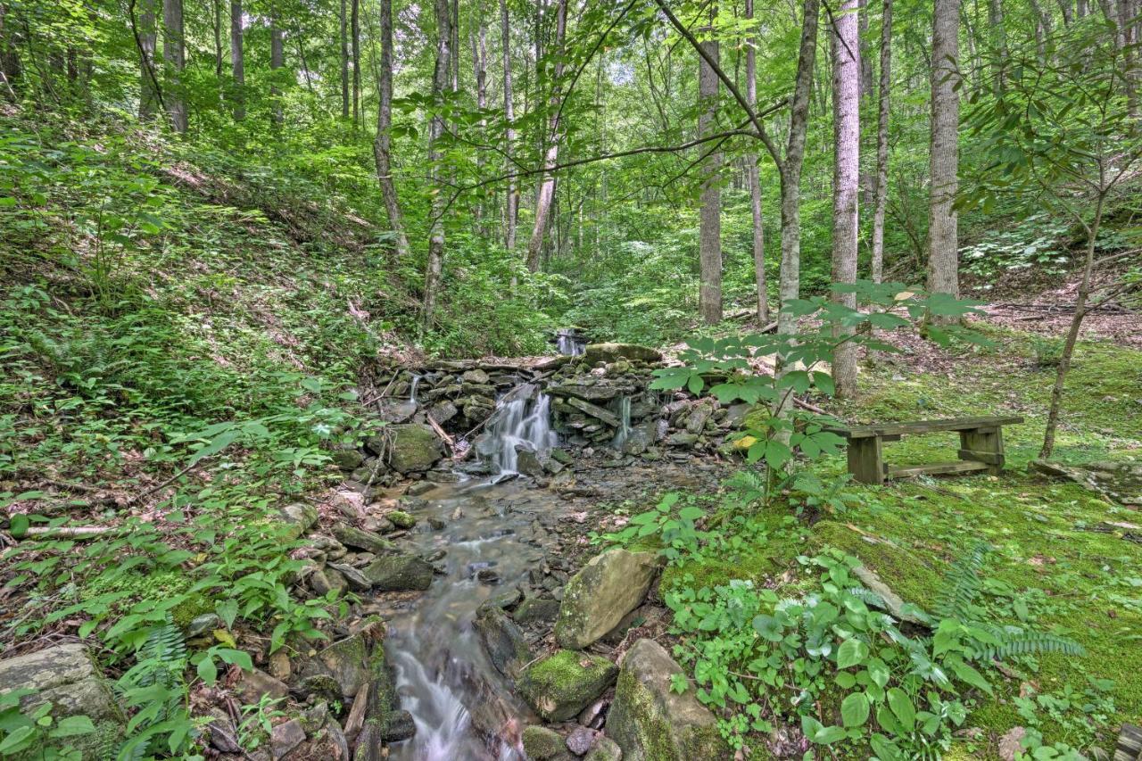 Creekside Cabin With Deck In Pisgah Forest! Barnardsville Bagian luar foto